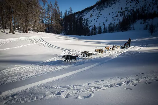 Pays des Écrins - Mushing addict-Foto ©Marie LACHAUD