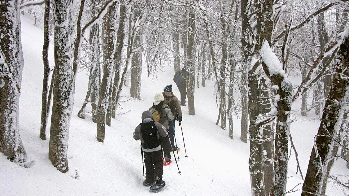 ciaspolate nel Parco delle Foreste Casentinesi - Foto ©Giacomini (Parco delle Foreste Casentinesi)