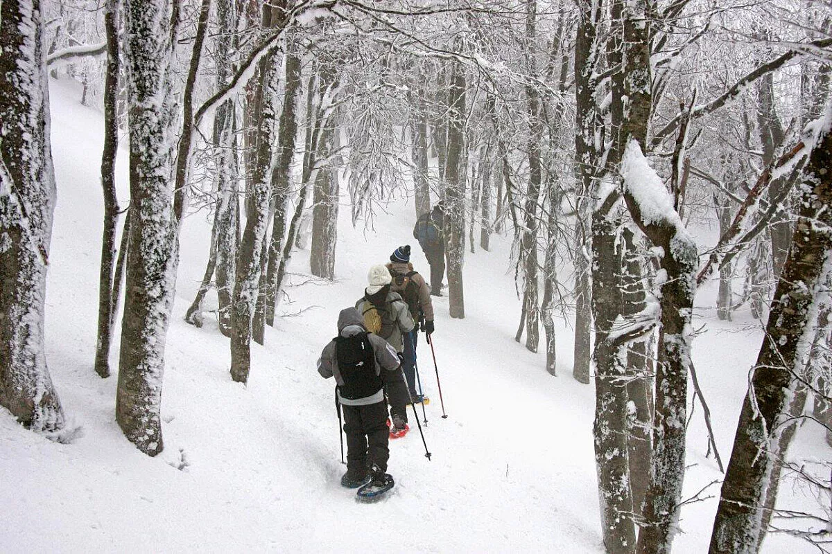 ciaspolate nel Parco delle Foreste Casentinesi - Foto ©Giacomini (Parco delle Foreste Casentinesi)