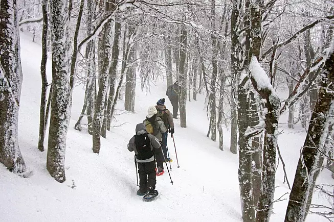 ciaspolate nel Parco delle Foreste Casentinesi - Foto ©Giacomini (Parco delle Foreste Casentinesi)