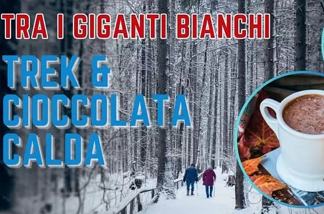 Trekking e cioccolata calda nelle Foreste Casentinesi - Foto di AlterTrek