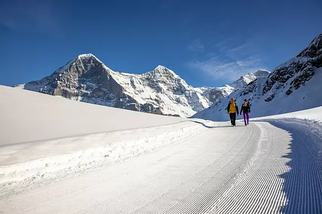 Winterwandern-Kleine-Scheidegg-Maennlichen-Eiger-Moench-Jungfrau-3-Key-Visual © Jungfraubahnen 2019