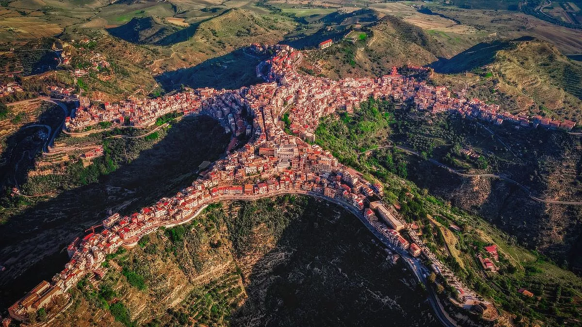 sh_2344489315
