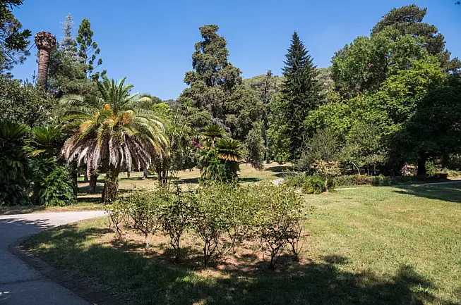 Giardino Inglese, Reggia di Caserta