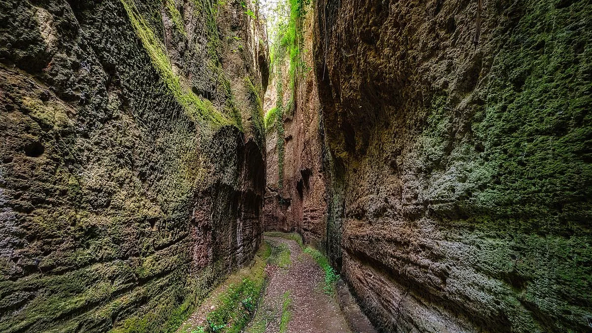 sh_2457815791