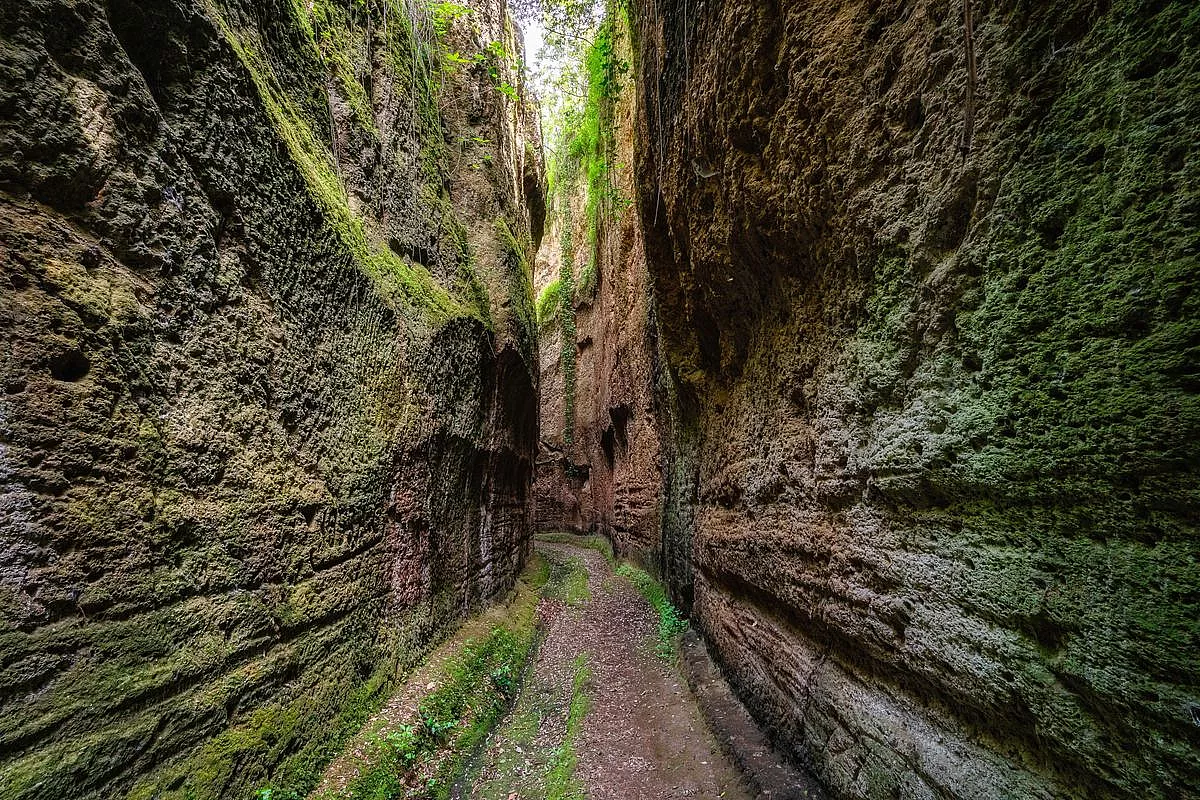sh_2457815791