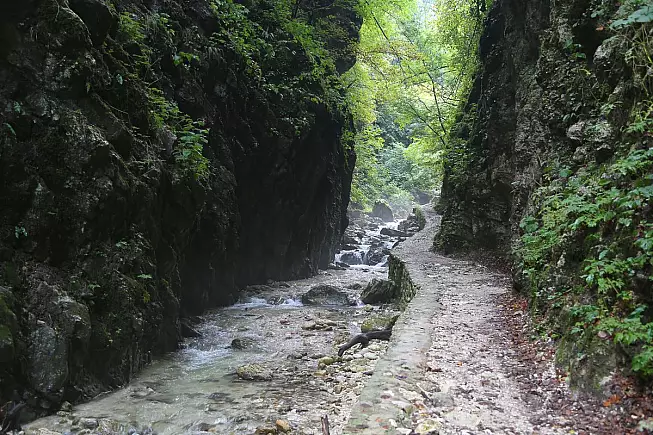 sh_1496300522