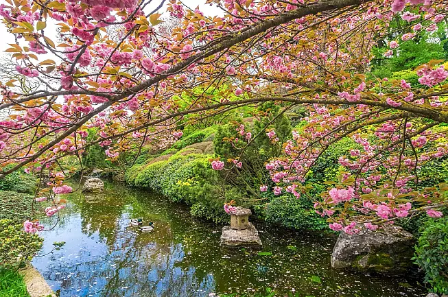 shutterstock_1067639222