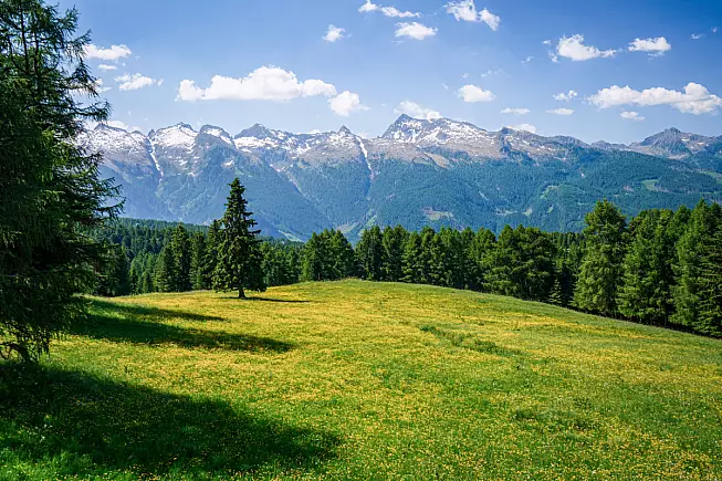 Alpe di Lusia, Trentino. Shutterstock_1437184568