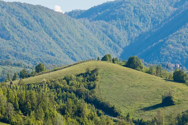 Colline Val Tidone
