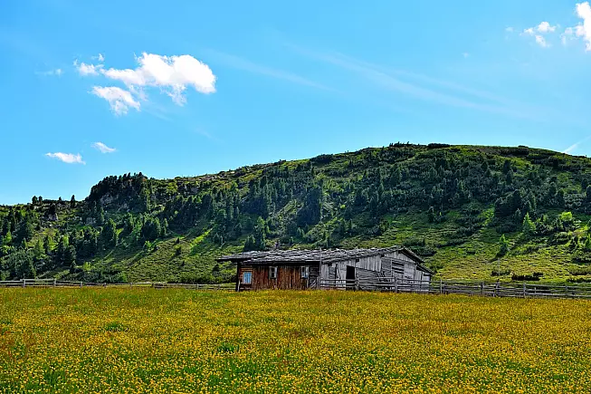 shutterstock_2012893298