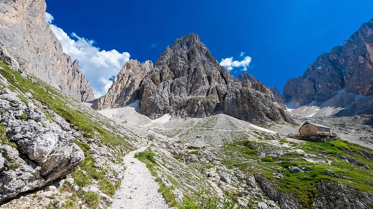 1172582293
