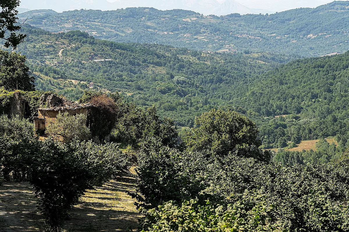 shutterstock_1566330916