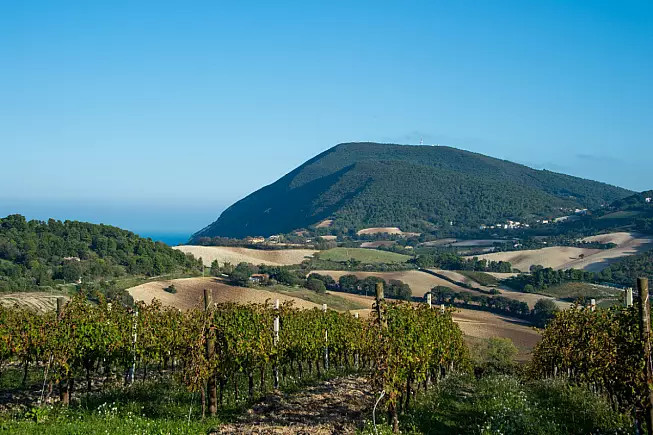 Anello della Pecorara, Sirolo, Marche. Shutterstock_2446839105