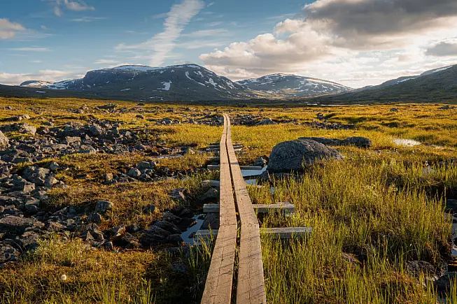 Kungsleden, sentiero di legno, Svezia. Shutterstock_2274165169
