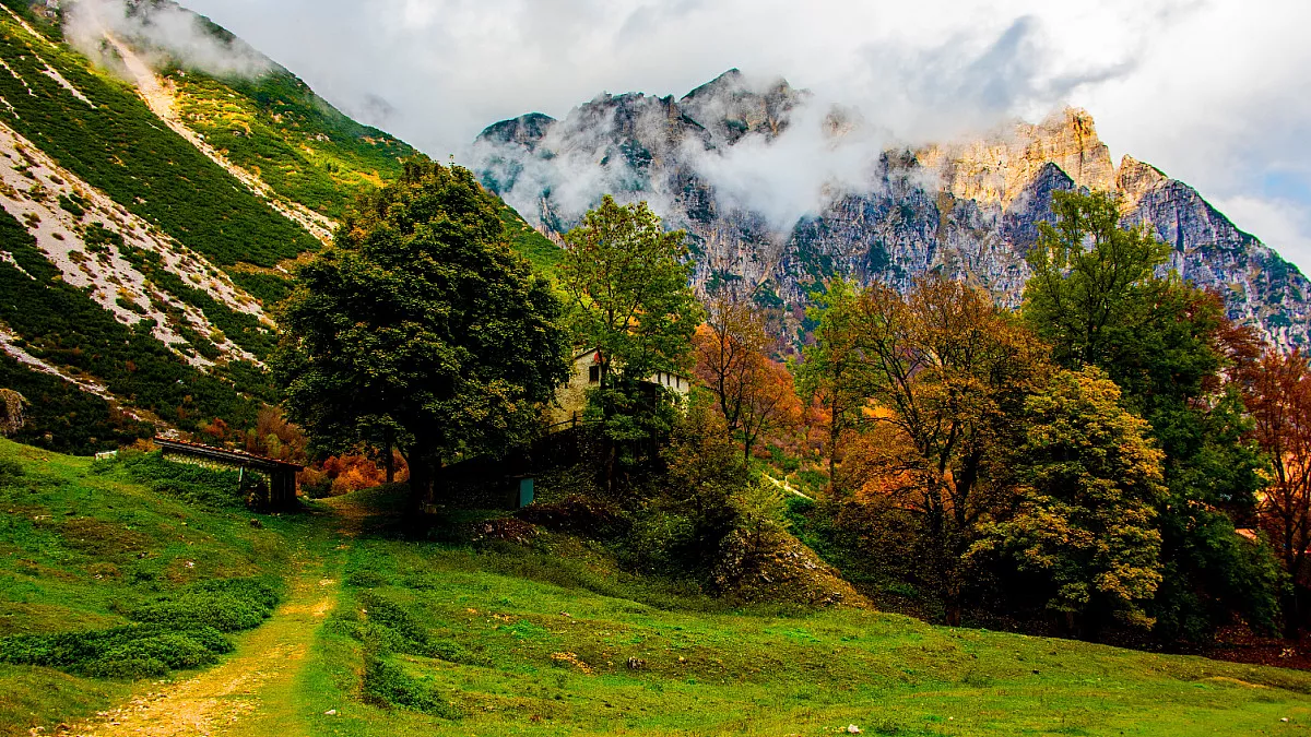 Sentiero dei Grandi Alberi, Recoaro. Shutterstock_1844768884
