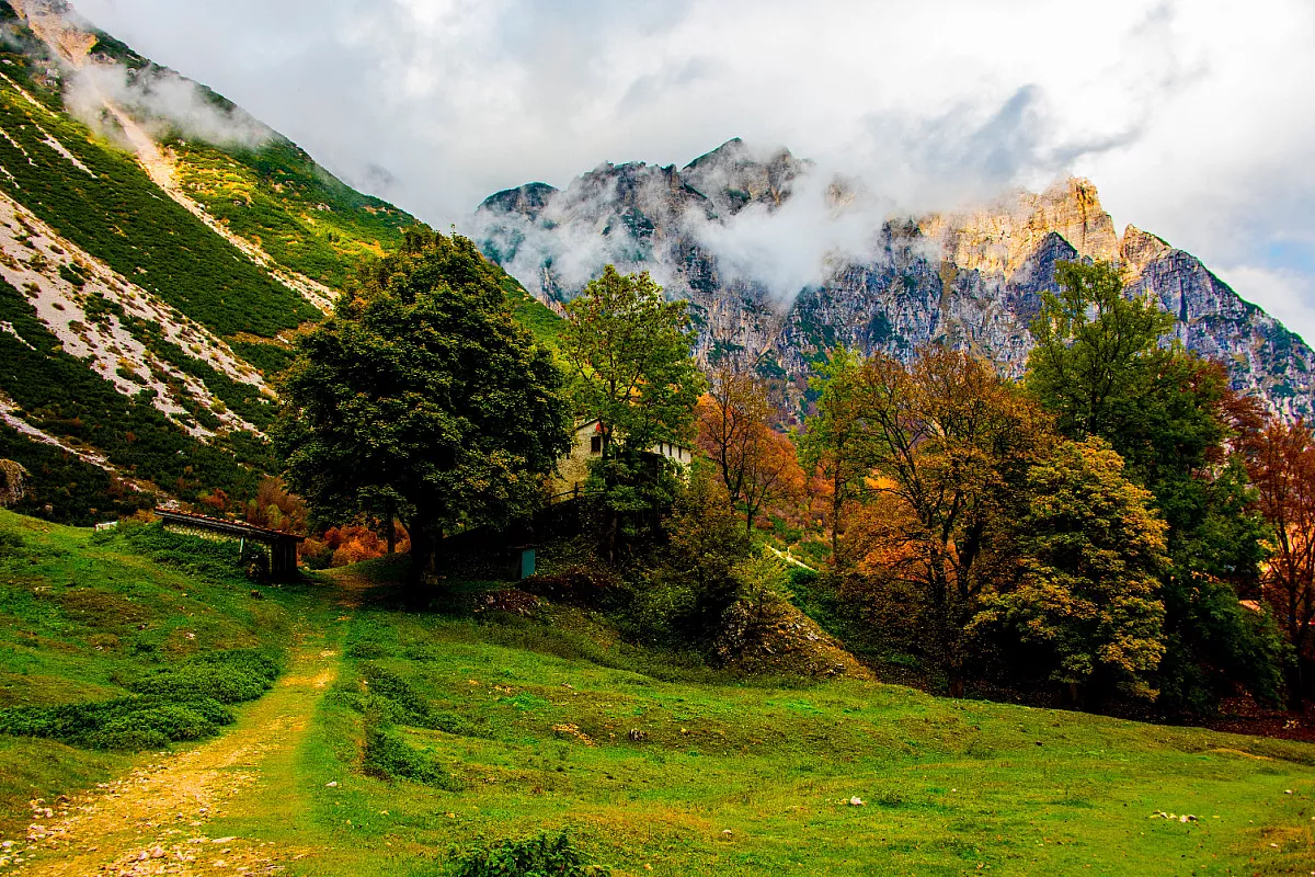 Sentiero dei Grandi Alberi, Recoaro. Shutterstock_1844768884