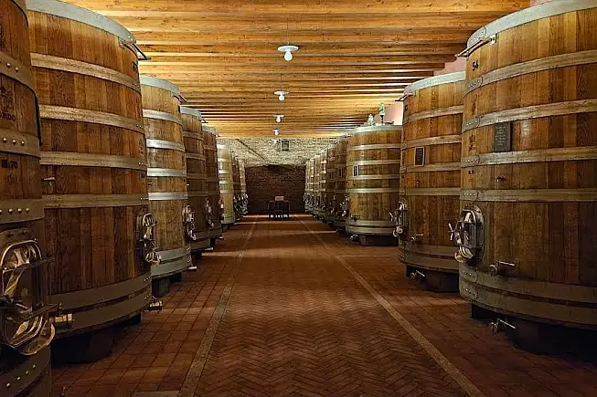 Barolo_Cantina di Sordo Giovanni_Foto di Voicesearch.travel