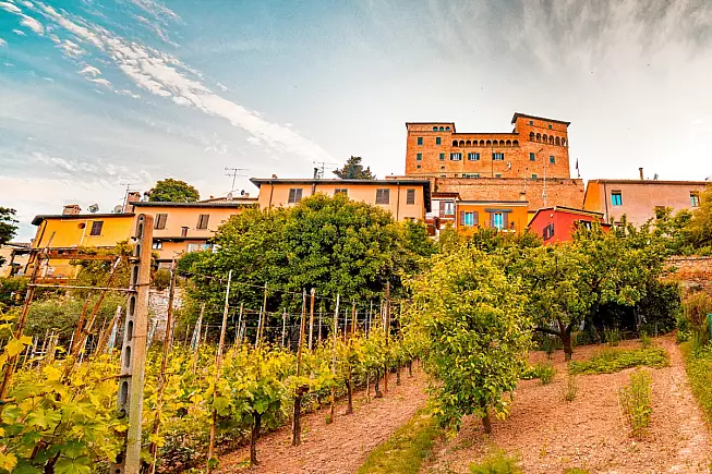 Longiano_Castello Malatestiano con filari di vigne_428097469