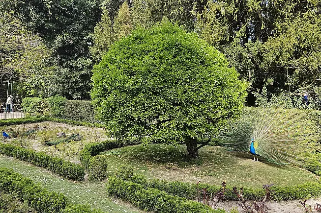 foto-di-francesca-barbarancia-voicesearchtravel