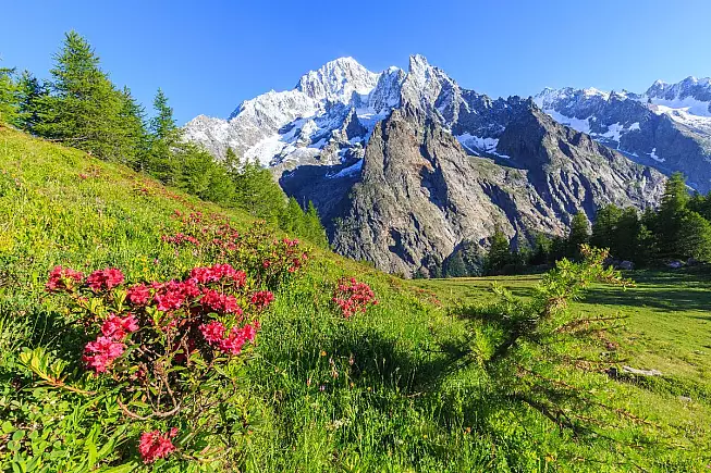 Courmayeur