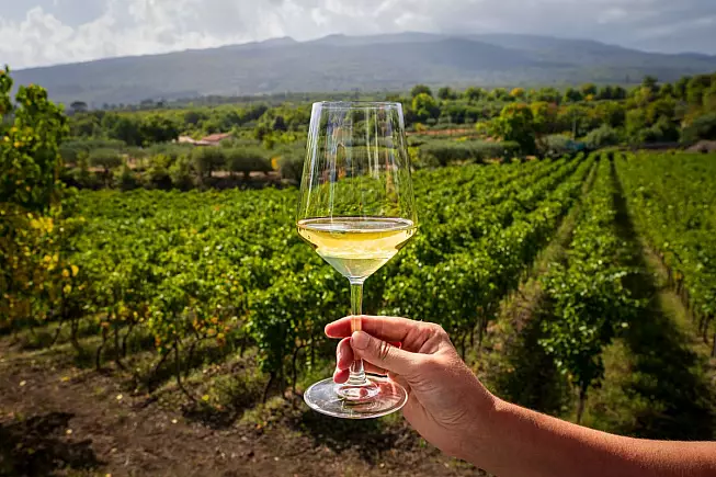 Etna wine tasting_2661961143