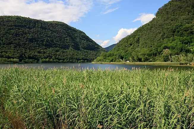 Lago Segrino