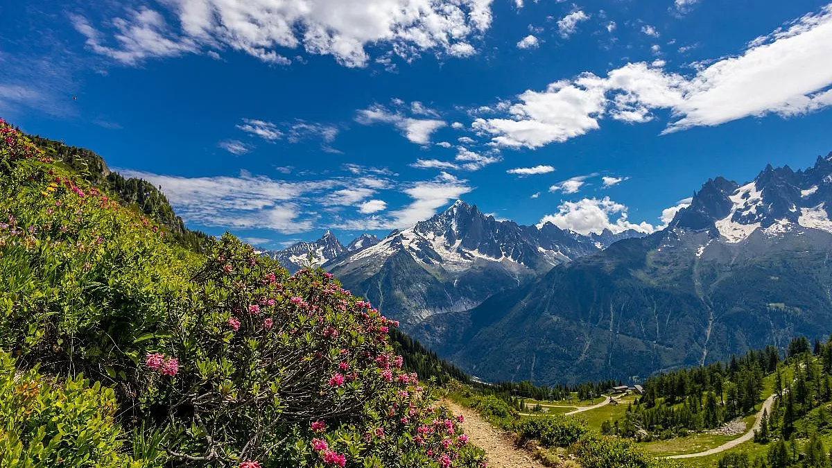 Monte Bianco