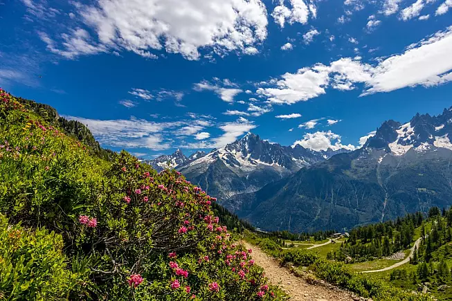 Monte Bianco