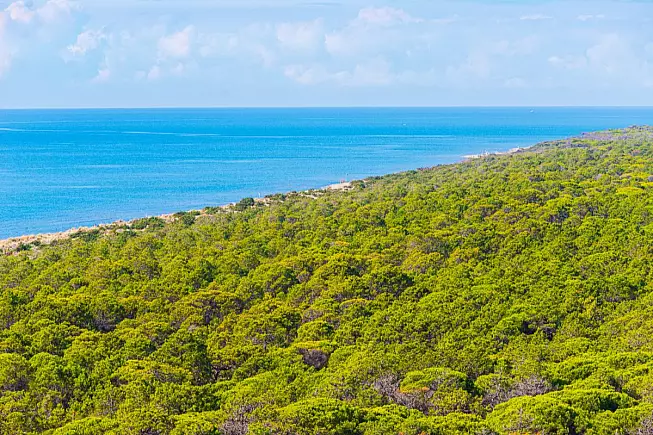 Parco Naturale della Maremma