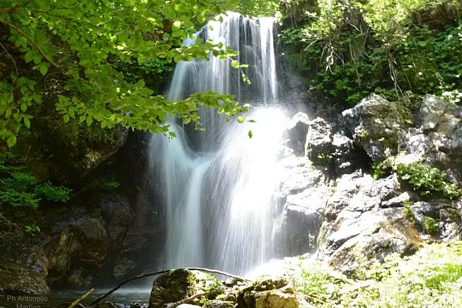 Parco Nazionale della Sila