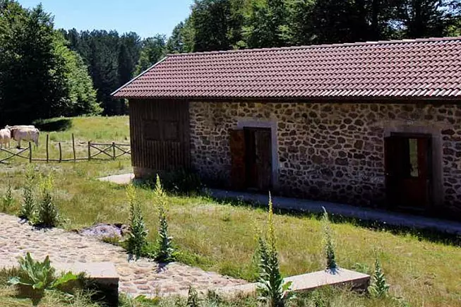 Parco Nazionale della Sila