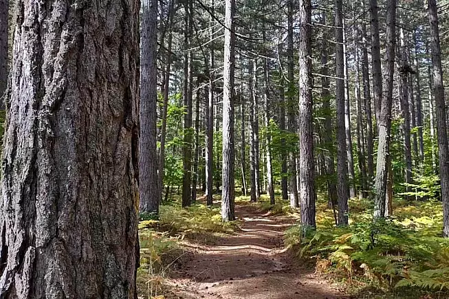 Parco Nazionale della Sila