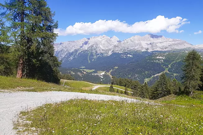 Trekking
