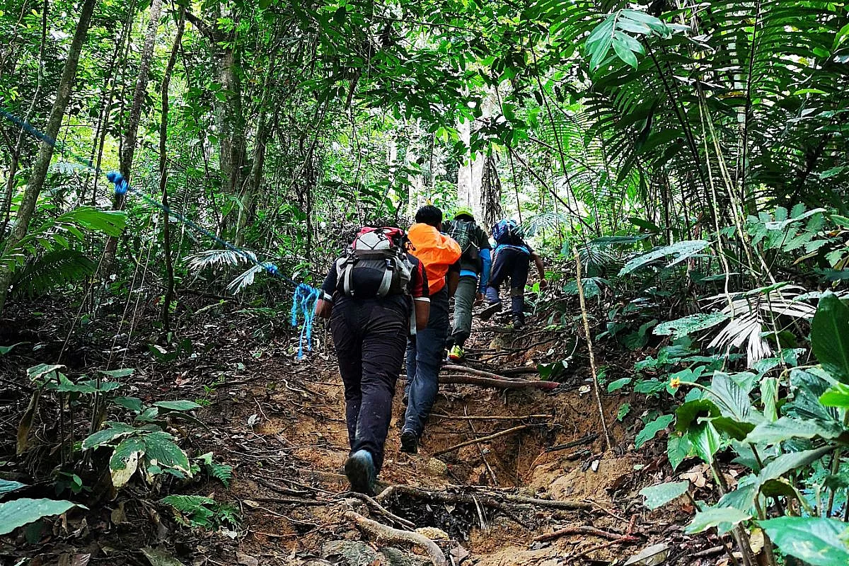Trekking
