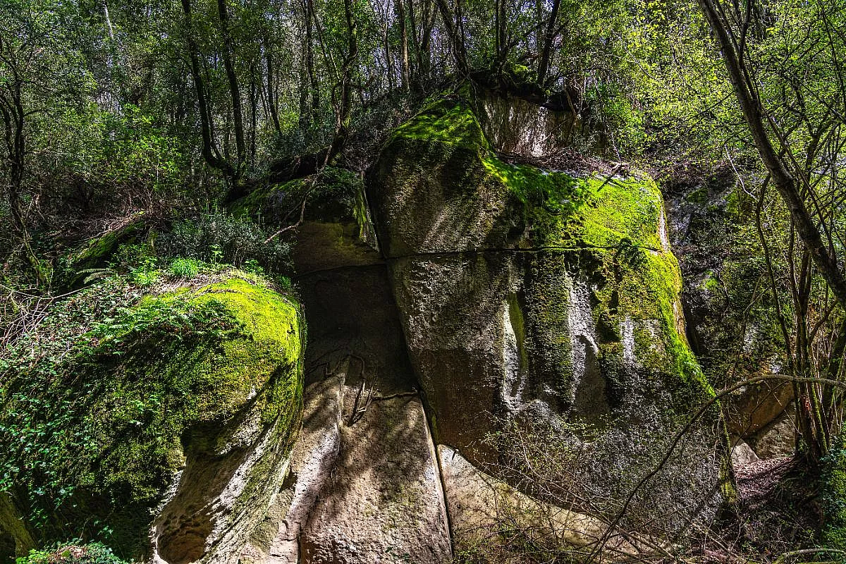 Valle dell'Arcionello