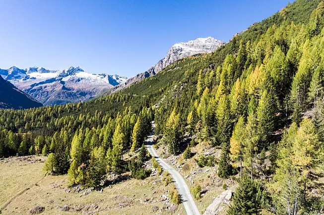 vallumbrina