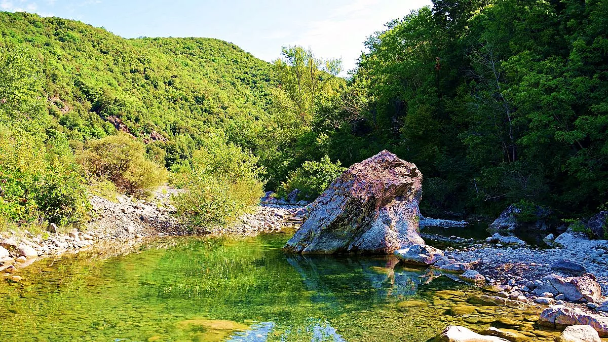 Riserva Naturale Foresta di Berignone