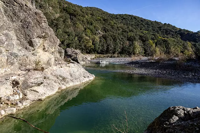 Riserva Naturale Foresta di Berignone