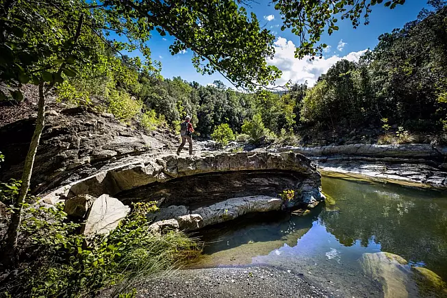 Riserva Naturale Foresta di Berignone
