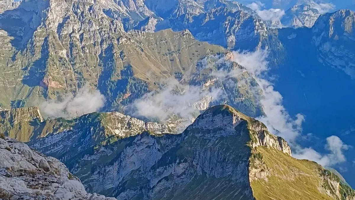 Schiara