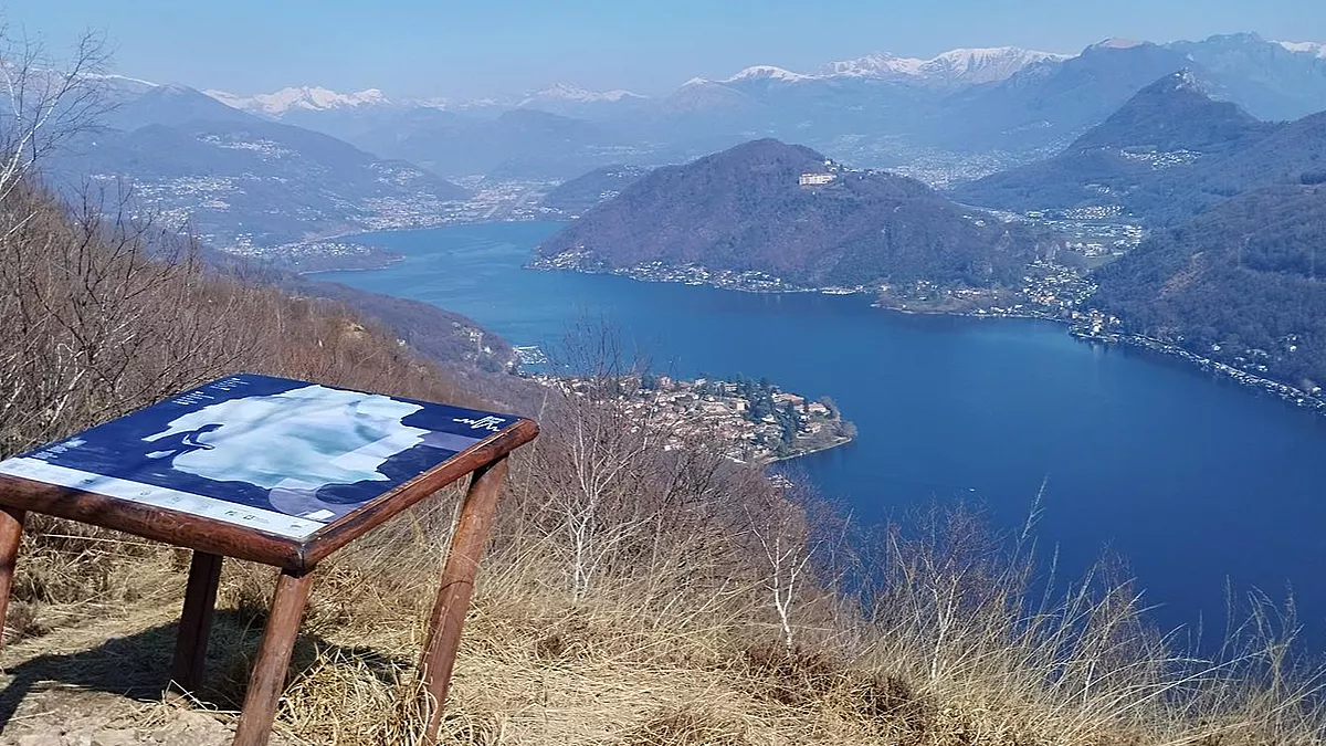 Foto di alfiere nero vicino a San Salvatore, Lombardia (Italia)