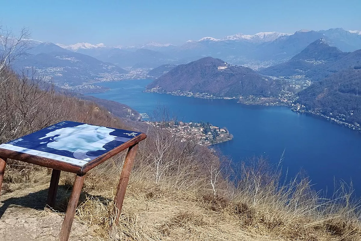 Foto di alfiere nero vicino a San Salvatore, Lombardia (Italia)