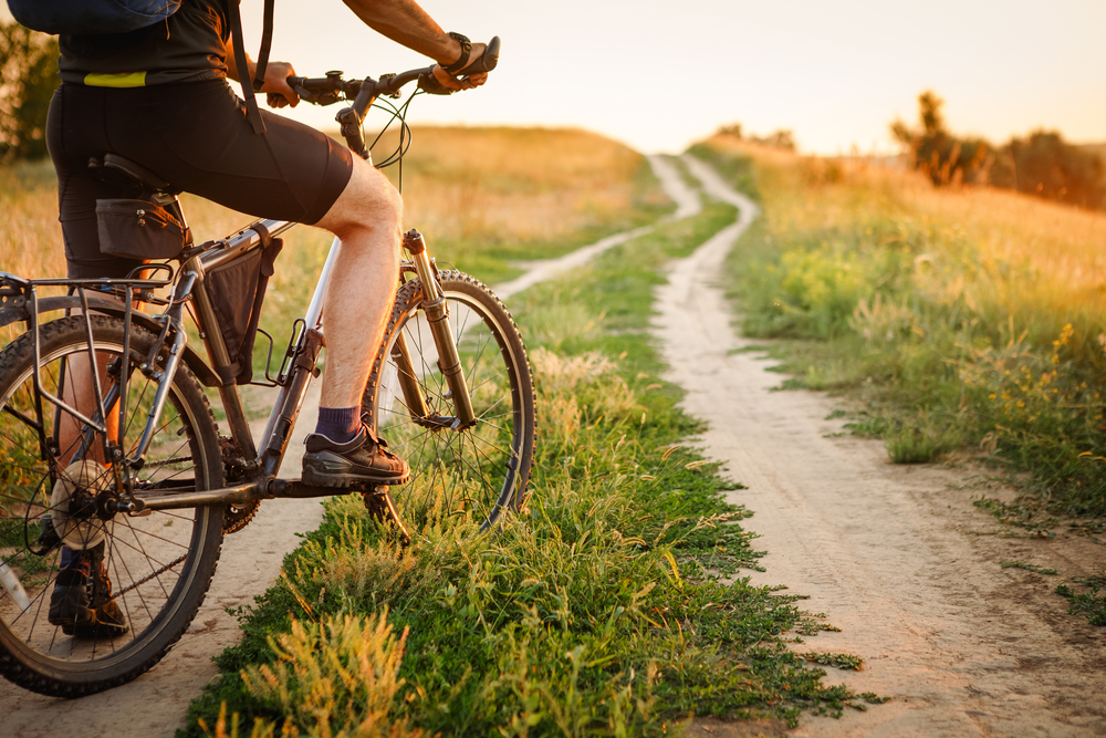 andare bicicletta