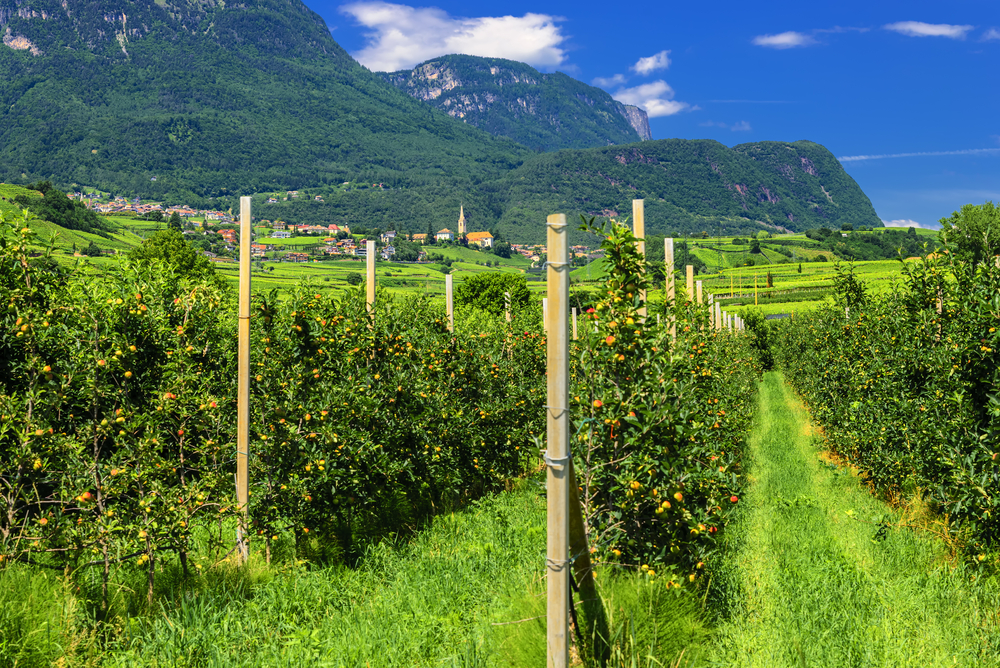 Trekking Tirolo, turismo green in Austria