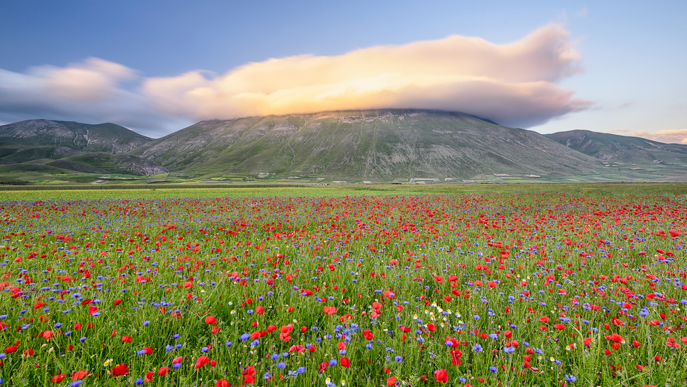Castelluccio_504324724