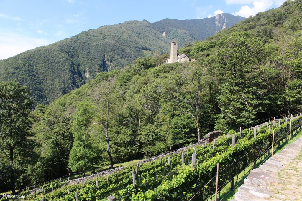 Curzutt Svizzera