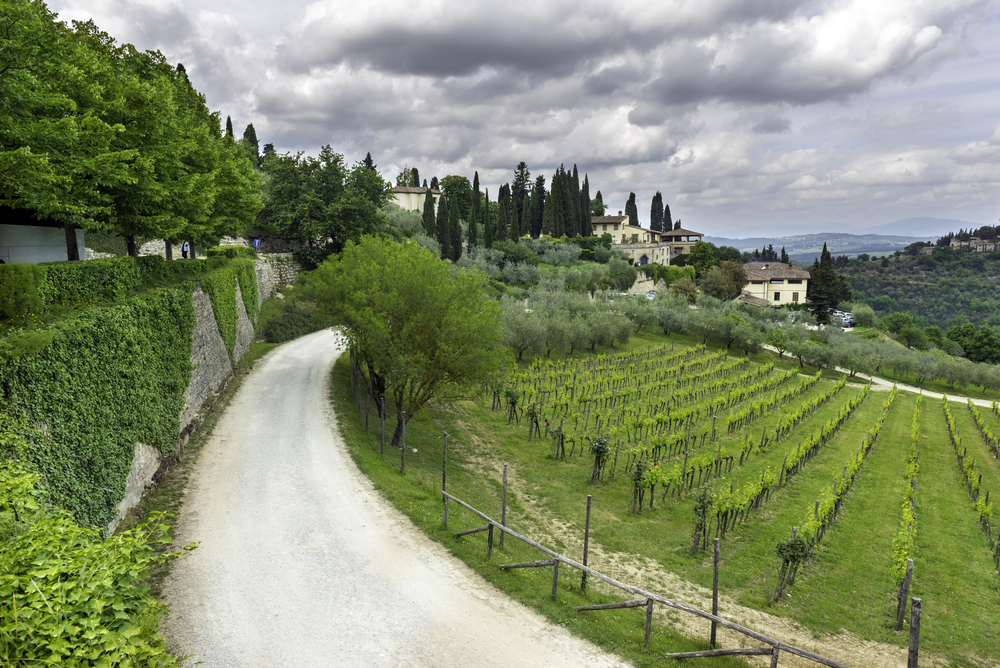 Strada del Vino del Chianti