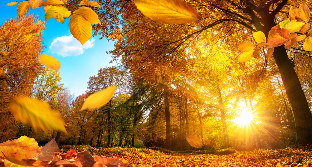 Trekking in autunno: consigli e suggerimenti per le tue escursioni