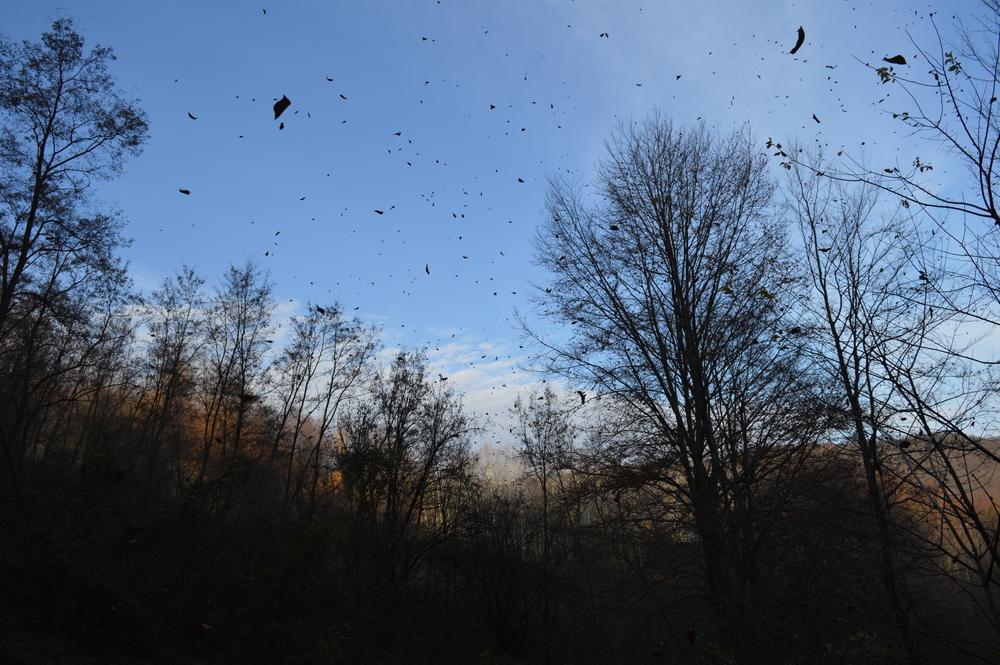 Trekking autunno